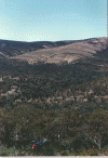 bushwalking.gif (84408 bytes)