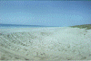 cable beach.gif (77447 bytes)